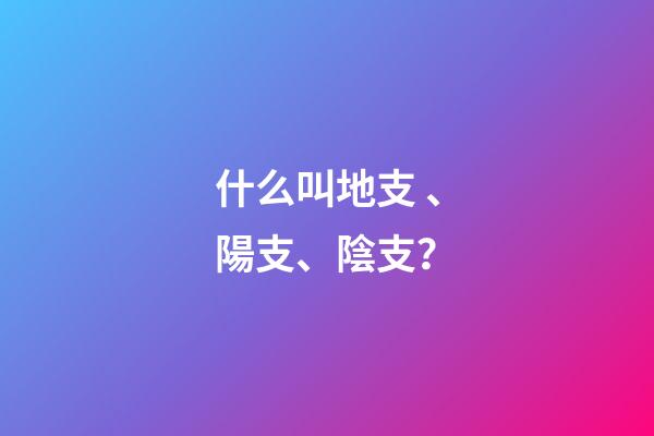 什么叫地支、陽支、陰支？